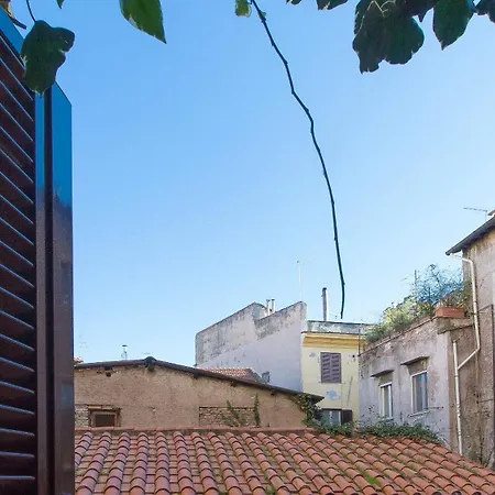 Scala By In Διαμέρισμα *